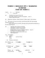 F3 P2 2ndTerm MS .docx